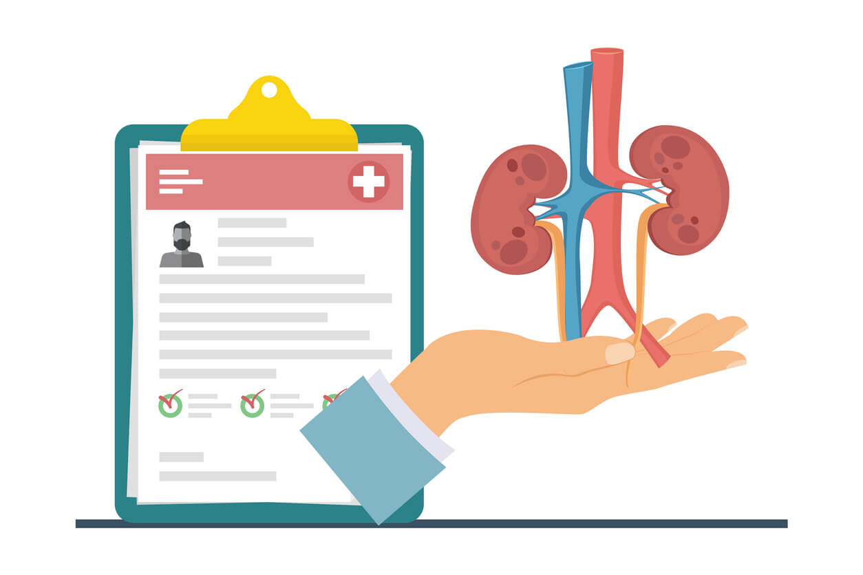 A importância do check-up renal