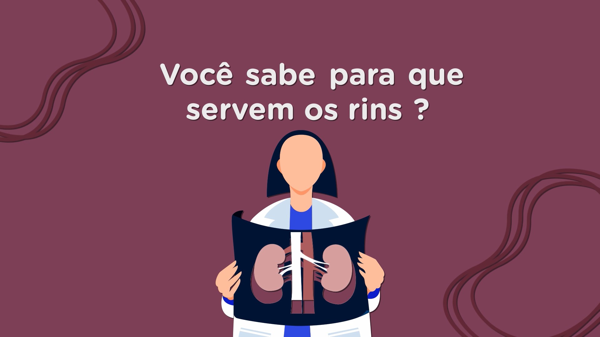 vídeo para que servem os rins