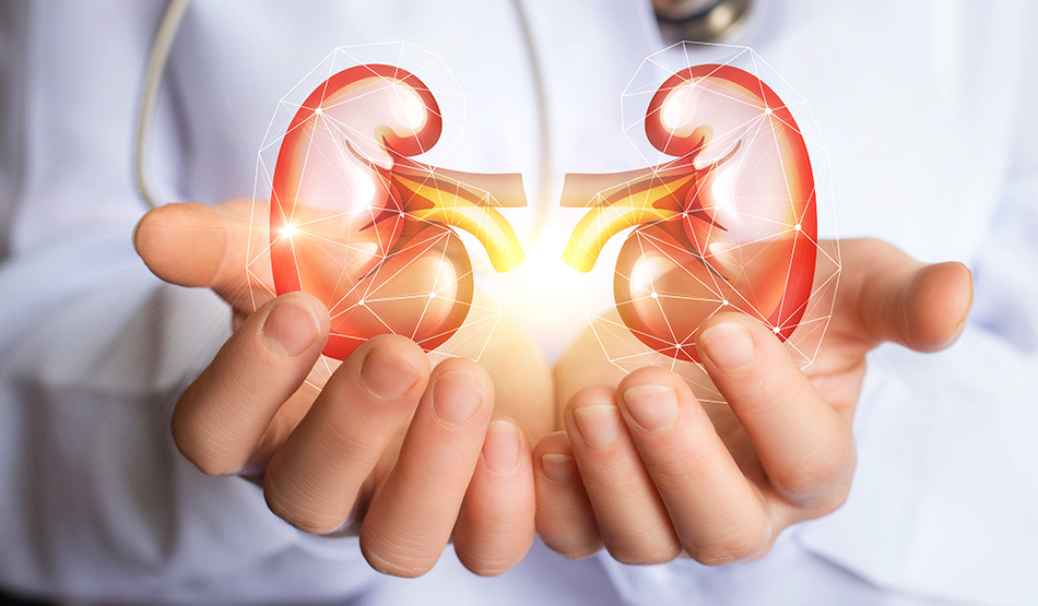 A situação da doença renal crônica no Brasil!